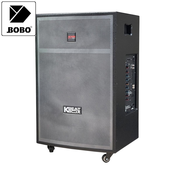Loa kéo ACNOS CB404GD