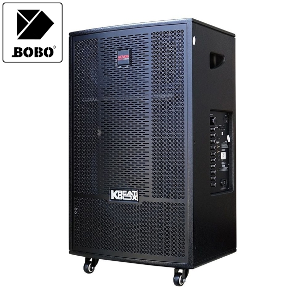 Loa kéo ACNOS CB41NEO